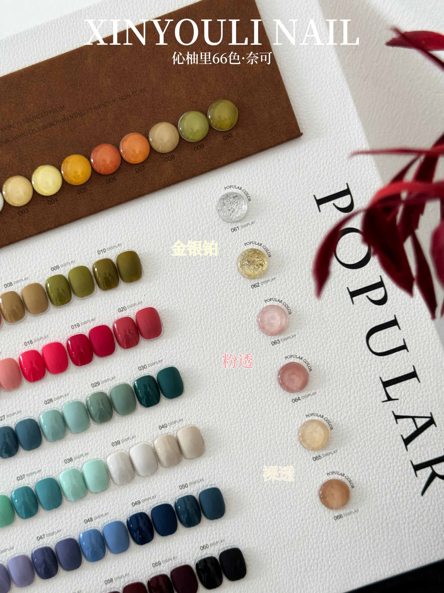 Yukun Naike 66 color nail polish adhesive popular color ins wind internet celebrity popular nail salon special set cream